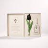 https://parfumane.com/wp-content/uploads/2026/04/black-tulip.webp